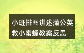 小班排圖講述蒲公英救小蜜蜂教案反思