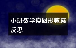 小班數(shù)學(xué)摸圖形教案反思