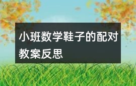 小班數學鞋子的配對教案反思