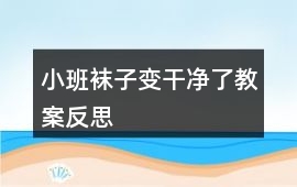 小班襪子變干凈了教案反思