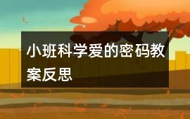 小班科學愛的密碼教案反思