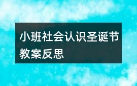 小班社會認識圣誕節教案反思