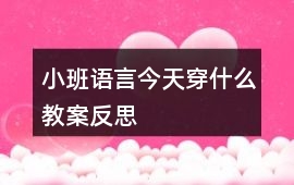 小班語言今天穿什么教案反思