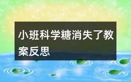 小班科學糖消失了教案反思