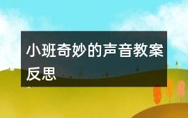 小班奇妙的聲音教案反思