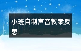 小班自制聲音教案反思