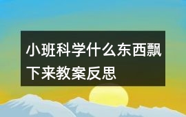 小班科學什么東西飄下來教案反思