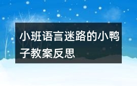 小班語言迷路的小鴨子教案反思