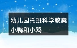 幼兒園托班科學教案小鴨和小雞