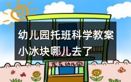 幼兒園托班科學(xué)教案小冰塊哪兒去了