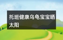 托班健康烏龜寶寶曬太陽