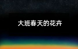 大班春天的花卉