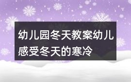 幼兒園冬天教案幼兒感受冬天的寒冷