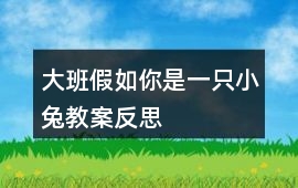 大班假如你是一只小兔教案反思