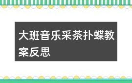 大班音樂采茶撲蝶教案反思