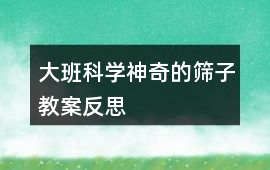 大班科學神奇的篩子教案反思