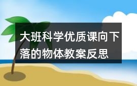 大班科學優質課向下落的物體教案反思