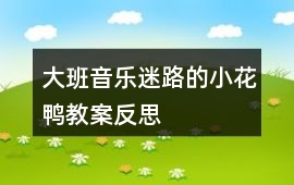 大班音樂迷路的小花鴨教案反思