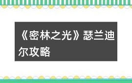 《密林之光》瑟蘭迪爾攻略