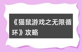 《貓鼠游戲之無限循環(huán)》攻略