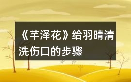 《芊澤花》給羽晴清洗傷口的步驟