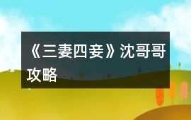 《三妻四妾》沈哥哥攻略