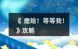 《 鹿晗！等等我！》攻略
