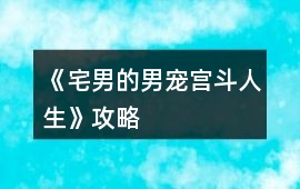 《宅男的男寵宮斗人生》攻略