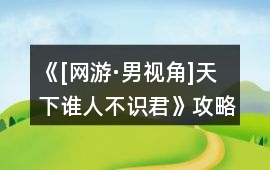 《[網游·男視角]天下誰人不識君》攻略