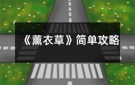 《薰衣草》簡單攻略