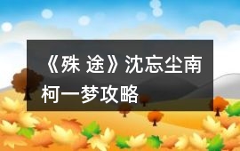 《殊 途》沈忘塵南柯一夢攻略