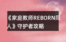 《家庭教師REBORN（同人）》守護者攻略