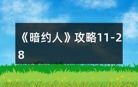 《暗約人》攻略11-28