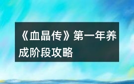 《血晶傳》第一年養成階段攻略