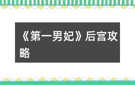 《第一男妃》后宮攻略