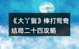 《大丫鬟》棒打鴛鴦結(jié)局二十四攻略