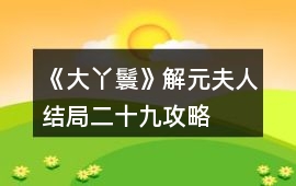 《大丫鬟》解元夫人結局二十九攻略