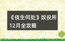 《伎生何處》奴役所12月全攻略