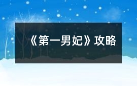 《第一男妃》攻略