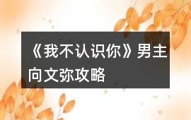 《我不認(rèn)識你》男主向文彌攻略