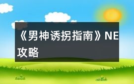 《男神誘拐指南》NE攻略