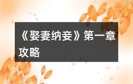 《娶妻納妾》第一章攻略