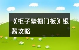 《柜子壁櫥門板》銀醬攻略