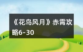 《花鳥風(fēng)月》赤霄攻略6-30