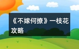 《不嫁何撩》一枝花攻略