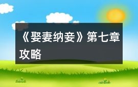 《娶妻納妾》第七章攻略