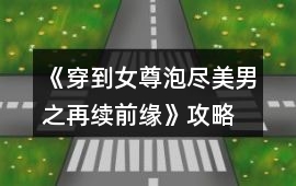 《穿到女尊泡盡美男之再續前緣》攻略