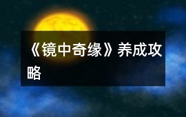 《鏡中奇緣》養(yǎng)成攻略