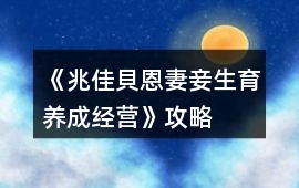 《兆佳貝恩妻妾生育養成經營》攻略