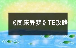 《同床異夢》TE攻略